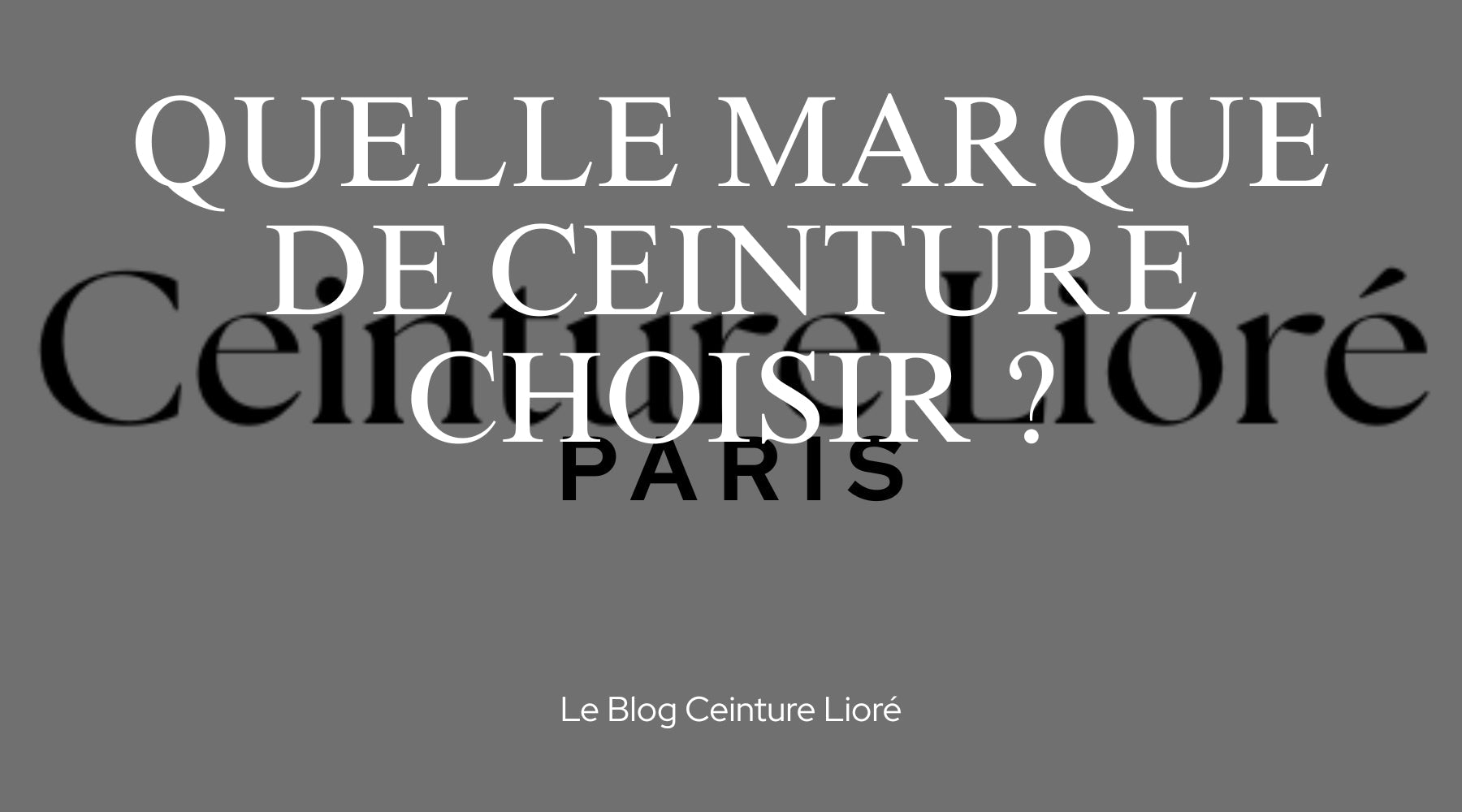 Quelle Marque de Ceinture Choisir ? - Le Blog Ceinture Lioré Image