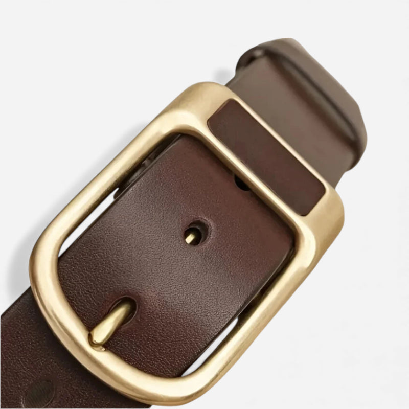 Ceinture Cuir Homme Boucle Dorée